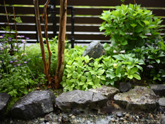 雨の休日