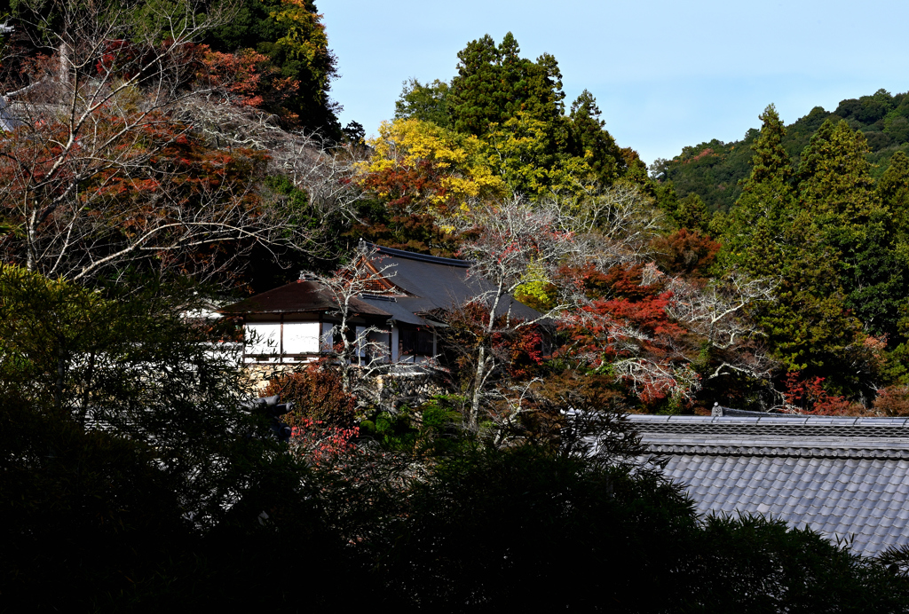 長谷寺　秋景色