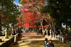 積田神社の紅葉