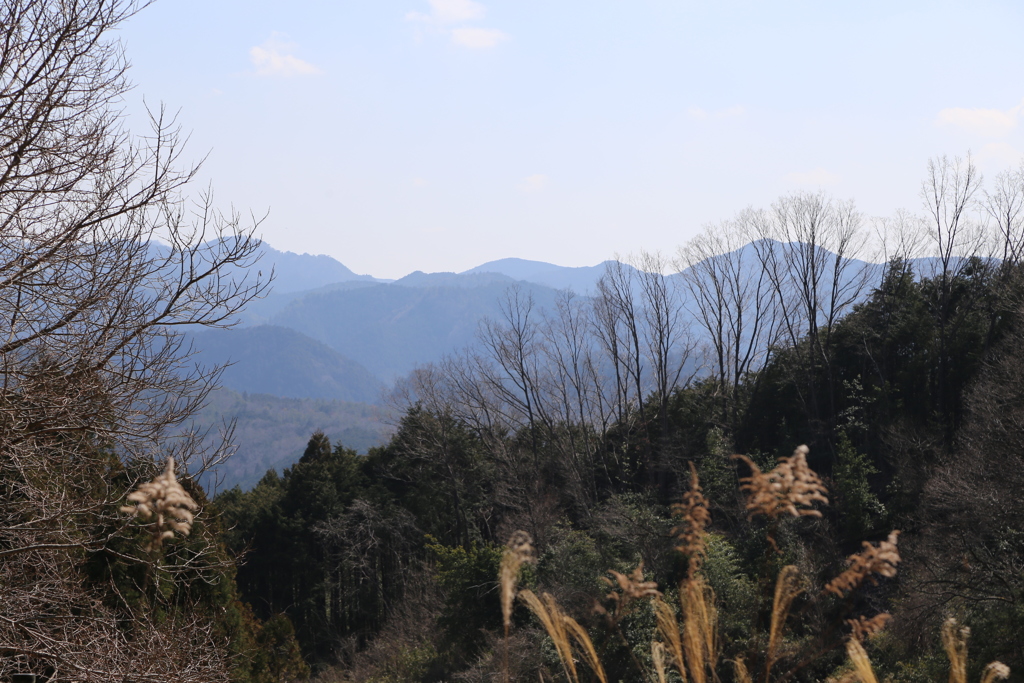 にほんの里　深野