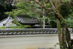 奈良　秋篠寺