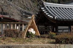 冬の景色