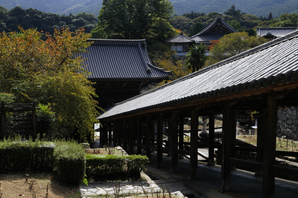 奈良長谷寺　登廊　