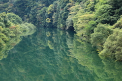 秋、青蓮寺湖