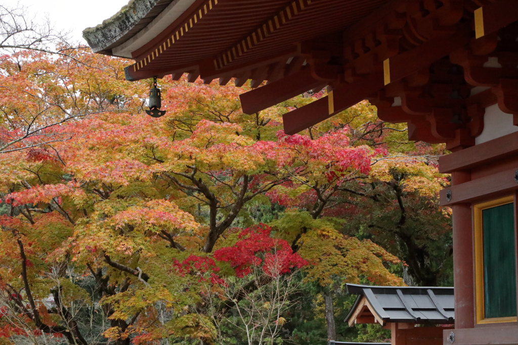 錦秋・長谷寺