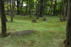 奈良　秋篠寺
