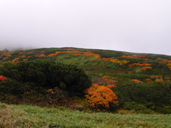 北海道　色づく大地　旭岳