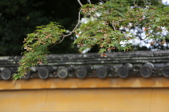 奈良　秋篠寺