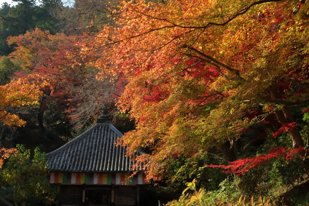錦の山寺