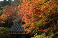 錦の山寺
