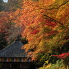 錦の山寺
