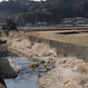 春の陽気