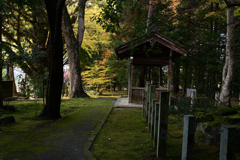 積田神社の紅葉