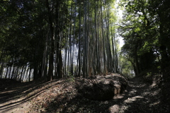 奈良　西の京