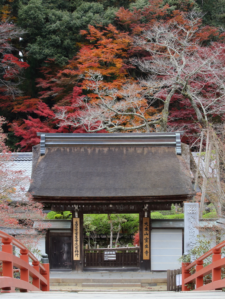 室生寺・紅葉