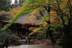 錦色の室生寺