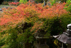 長谷寺　秋景色