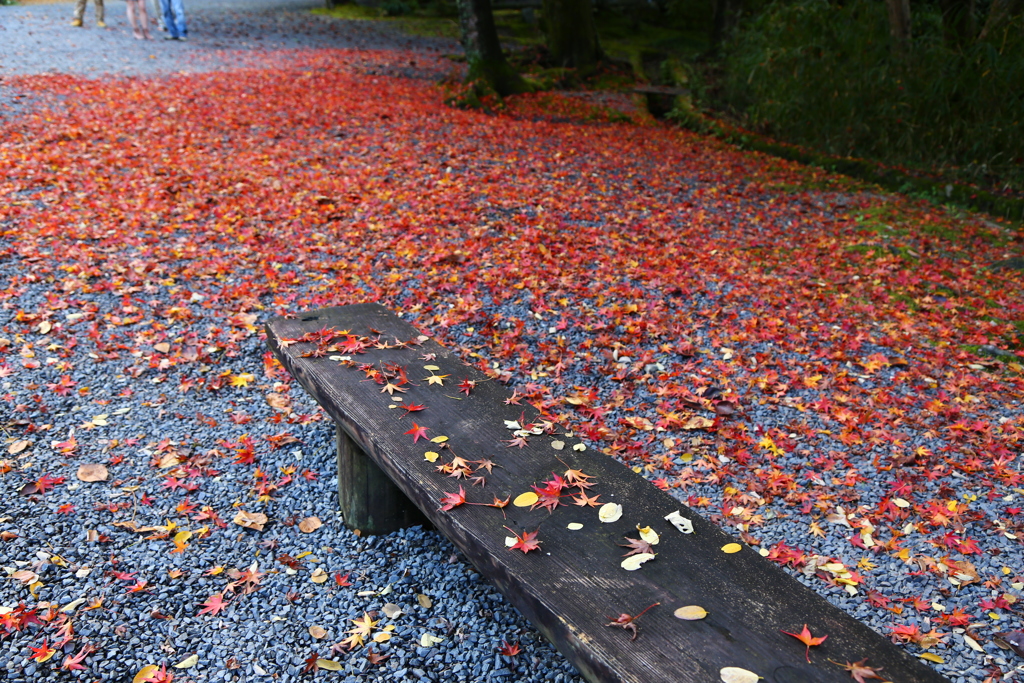 伊賀の紅葉