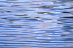 波　WAVE