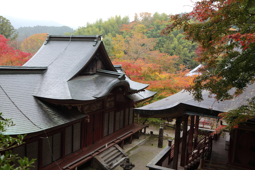 秋づく談山神社