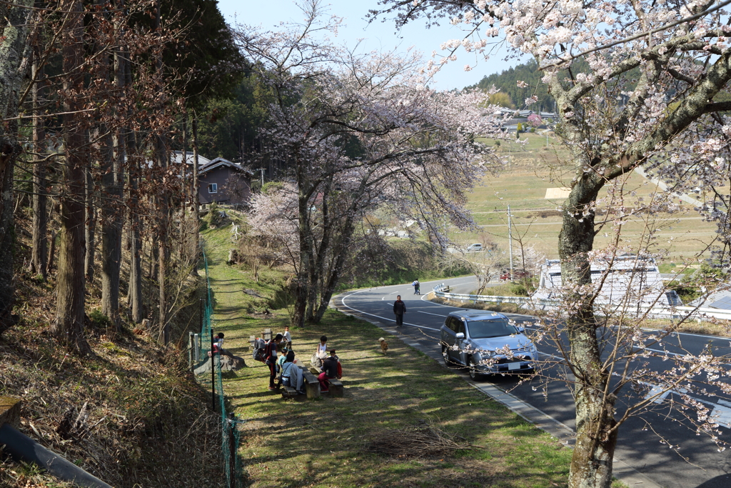 山里の春