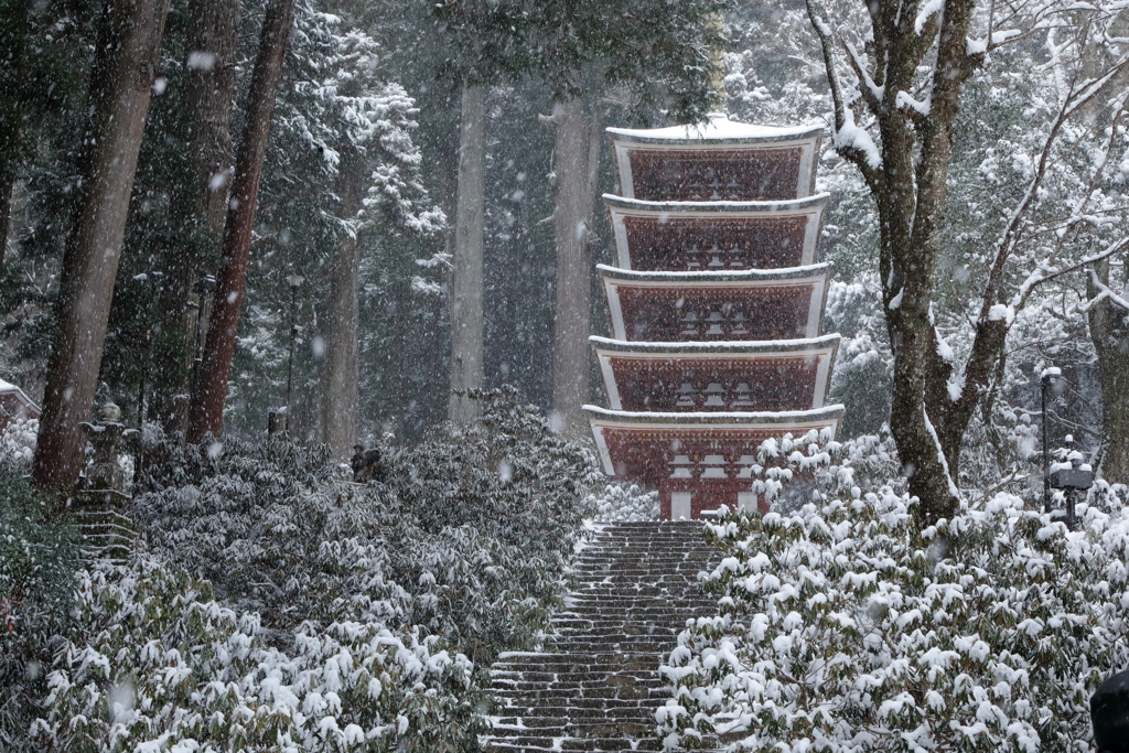 室生寺モノクローム