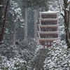 室生寺モノクローム
