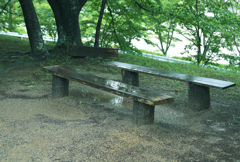 雨の午後