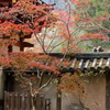 秋に染まる室生寺