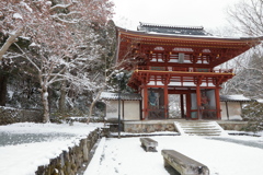 雪の室生寺