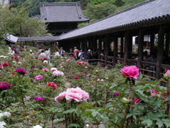 長谷寺の回廊