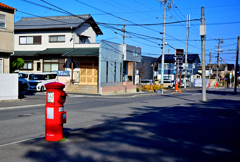 師走のブラ散歩