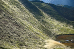 ススキの山 ススキの山
