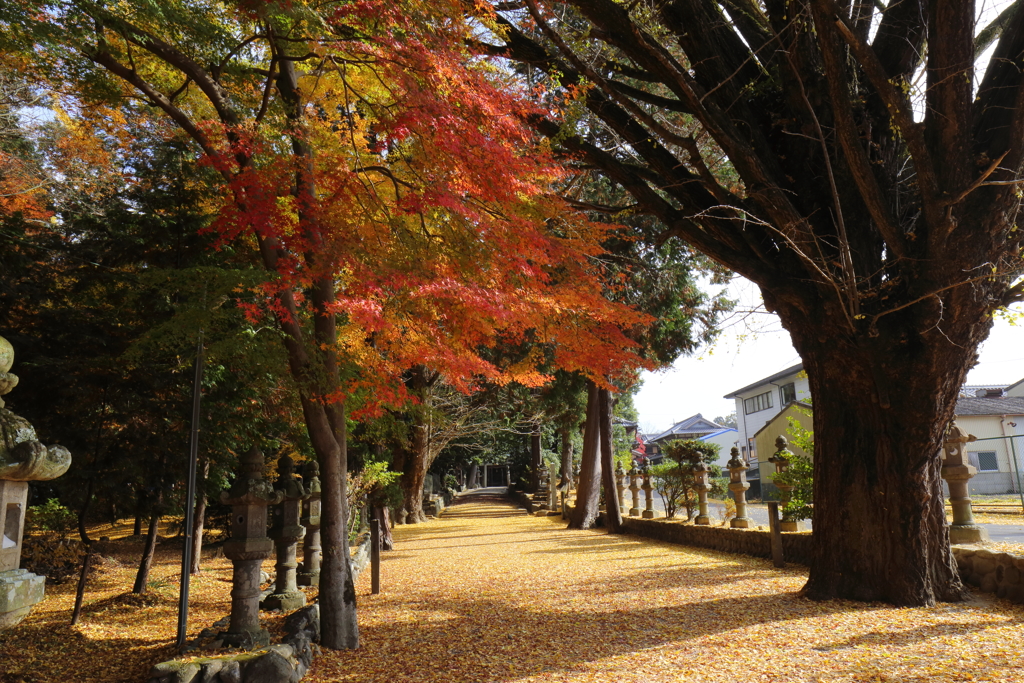 紅葉の積田神社 Part2