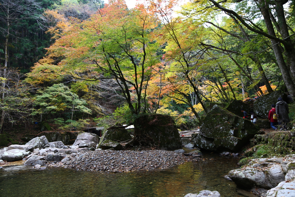 赤目四十八滝の紅葉