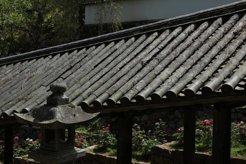 5月の長谷寺　登廊