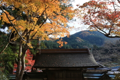 錦色の室生寺
