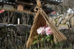 冬の景色