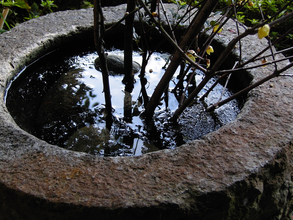 凍りつく寒い日