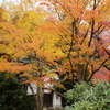 室生寺の秋