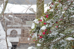雪の室生寺　続き