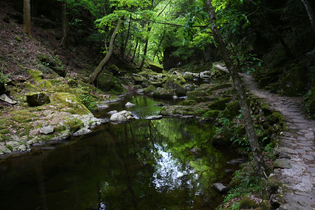Green 赤目滝