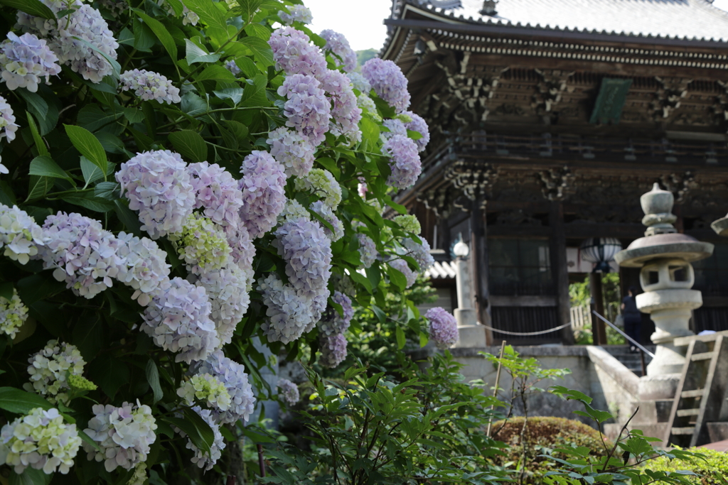 長谷寺「仁王門」