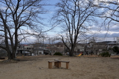 冬の散歩道