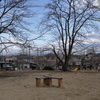冬の散歩道