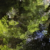 Green 赤目滝