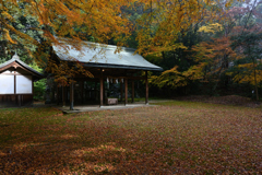 落ち葉につつまれて