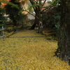 秋に染まる室生寺