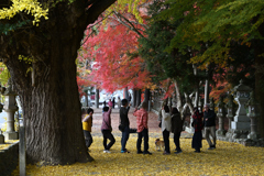 積田神社の紅葉