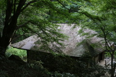 夏の室生寺　金堂